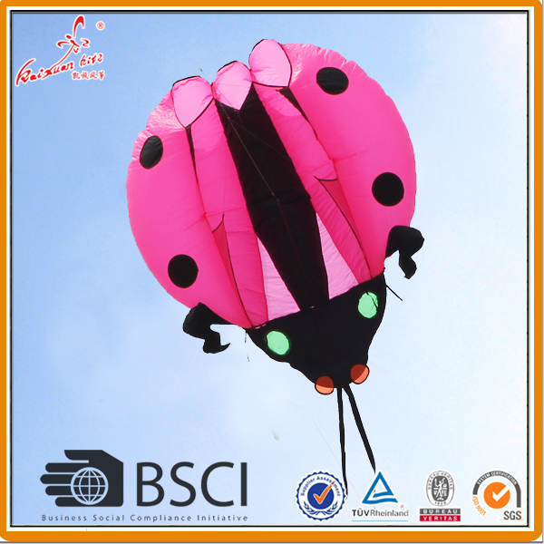 5 SQM ladybug pilot kite from the kite factory