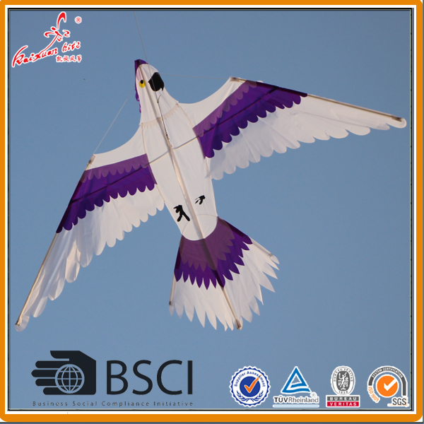 Beautiful parrot bird kite