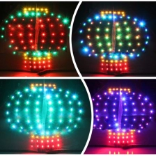 porcelana Chino lámpara LED Light Kite para la venta fabricante