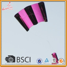 China Visserij kite uit de fabriek van de kite fabrikant