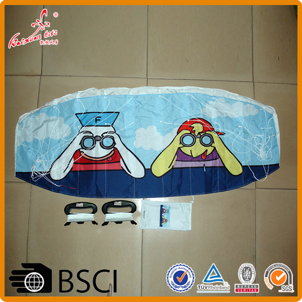 High quality promotional power kite from the kite factory