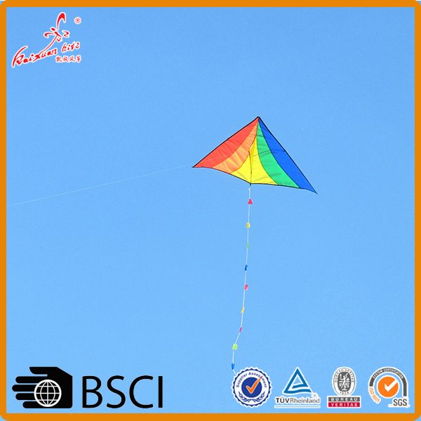 New Style Easy Fly Easy Assemble Delta Rainbow Kite