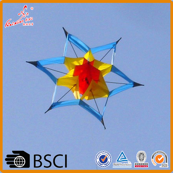来自风筝工厂的新设计特技风筝3D大莲花风筝