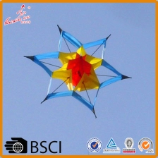 China New design stunt kite 3D big lotus kite from the kite factory manufacturer