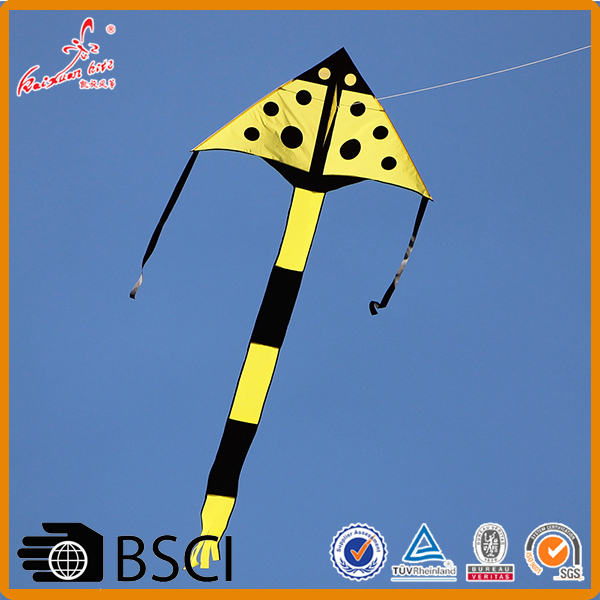 Outdoor delta flying kite from Chinese professional kite factory