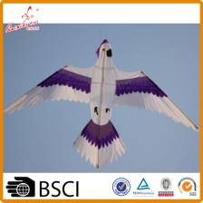 Kiina Parrot Bird-leija lapsille Kaixuan Kite tehtaalta valmistaja
