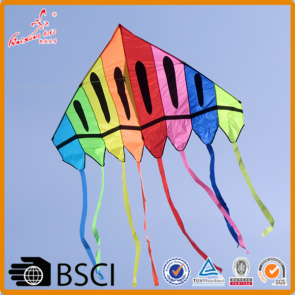 Weifang kaixuan high quality easy fly large rainbow delta kite for sale