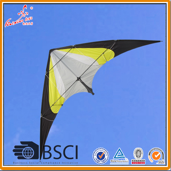 Wholesale stunt kite from weifang kite factory