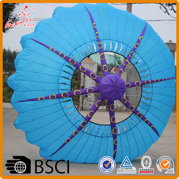 custom made special ring kite with your logo for promotion