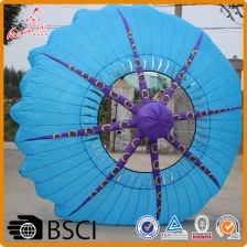 China op maat gemaakte speciale ring kite met uw logo voor promotie fabrikant