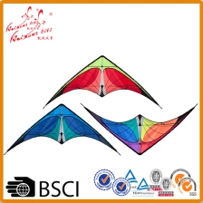 China Venda quente promocional voando stunt kite fabricante