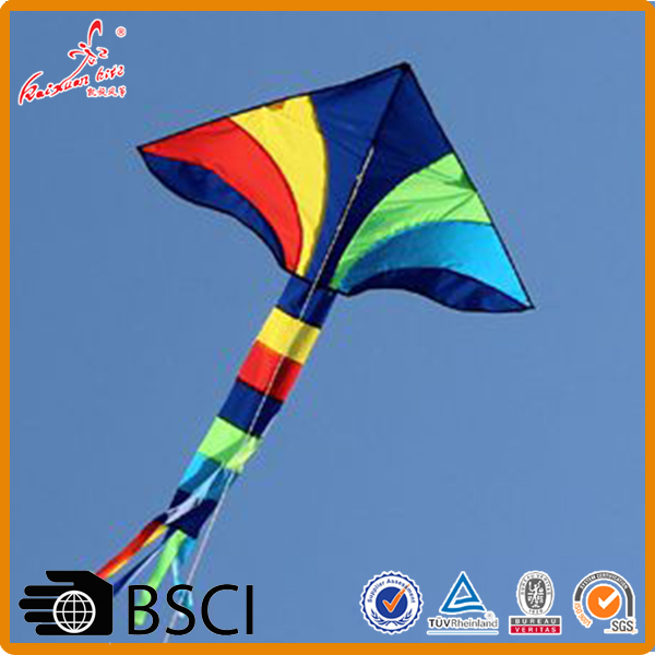 Outdoor sport rainbow delta kite from the kite factory