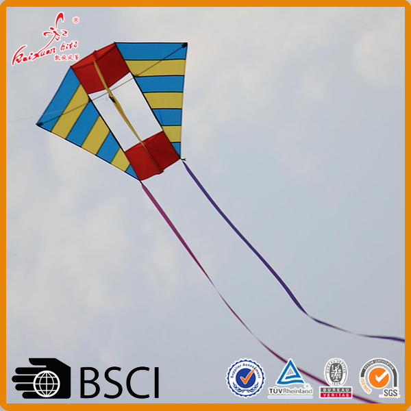 new style easy fly easy assemble 3d delta kite for sale