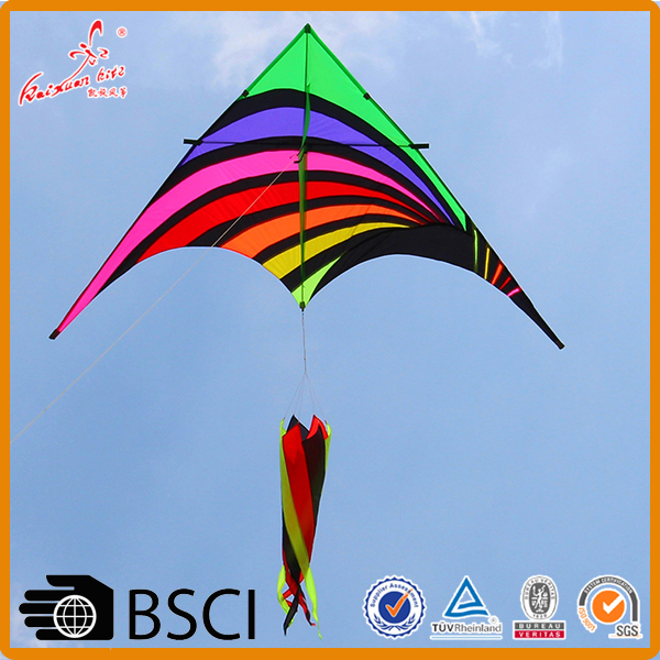 outdoor fun sports triangle kite with flying tools
