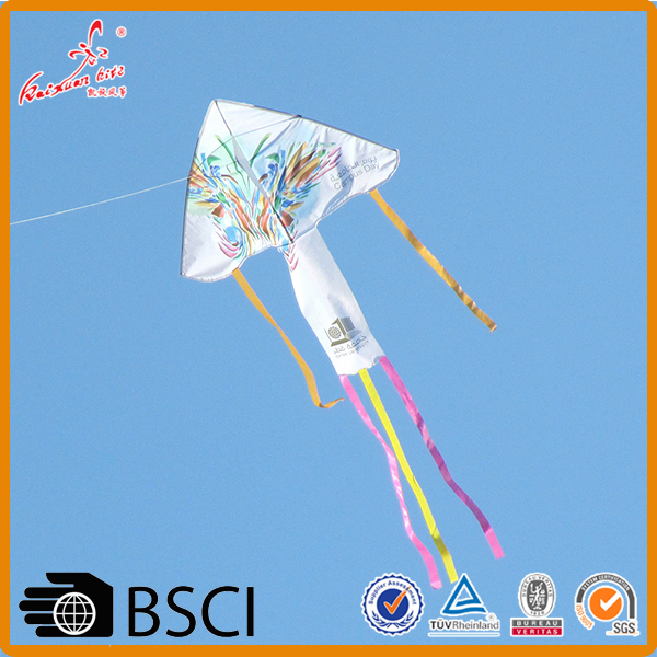 outdoor sport customized full Color Printing delta promotional kite toy