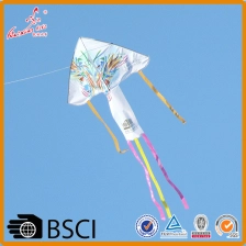 China outdoor sport op maat full color printing delta promotionele kite speelgoed fabrikant