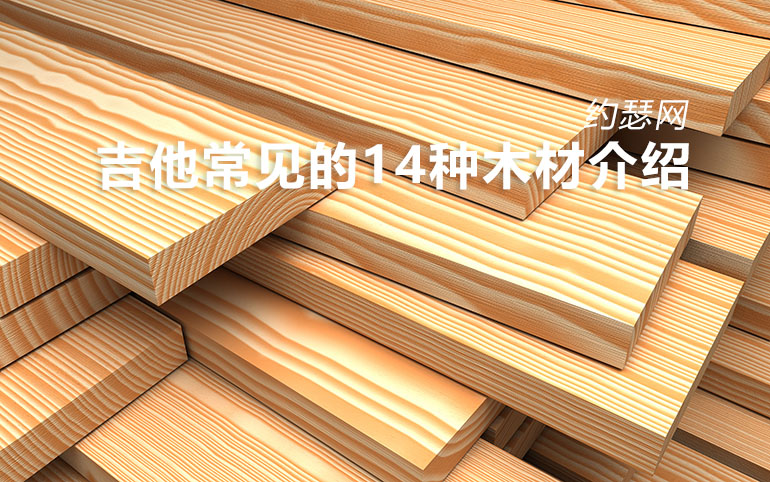 Chine Instruction pour bois de guitare fabricant