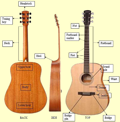 China Basic Guitar Vocabulary Guide for Beginners Hersteller