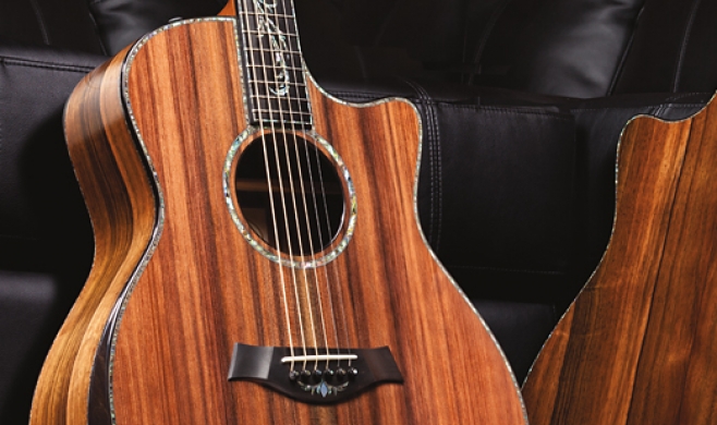 China Types of Small Guitars fabricante