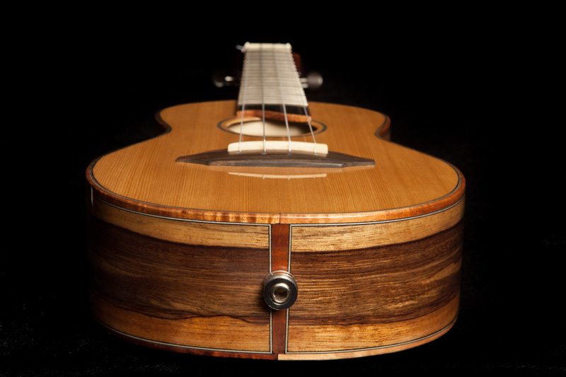 China HOW TO CHOOSE YOUR FIRST UKULELE fabricante