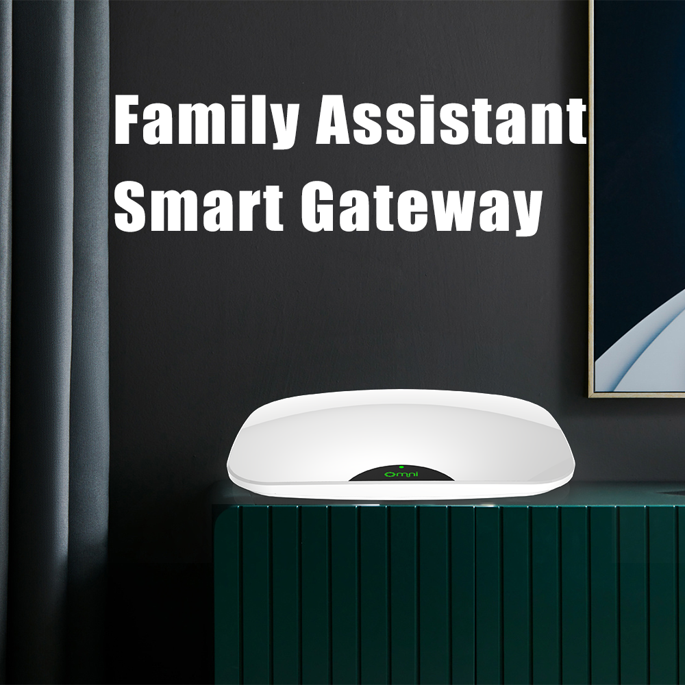 WiFi Smart Gateway voor Smart Bluetooth Lock om te bereiken voor afstandsbediening