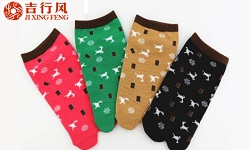 Interessieren Sie sich für Fünf-Finger-Socken oder Split-Finger-Socken?